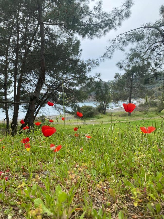 فتحية Inlice Uenzile Bungalow Inlice Kamp المظهر الخارجي الصورة